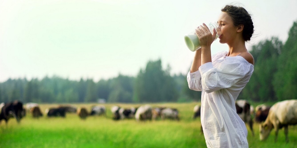 Пьет молоко. Сельский туризм молоко. Пьет молоко в поле. Утро в деревне девушка пьёт молоко. К чему снится пить во сне молоко